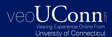 VEOUConn. Viewing Experience Online of spanish works for the University of Connecticut